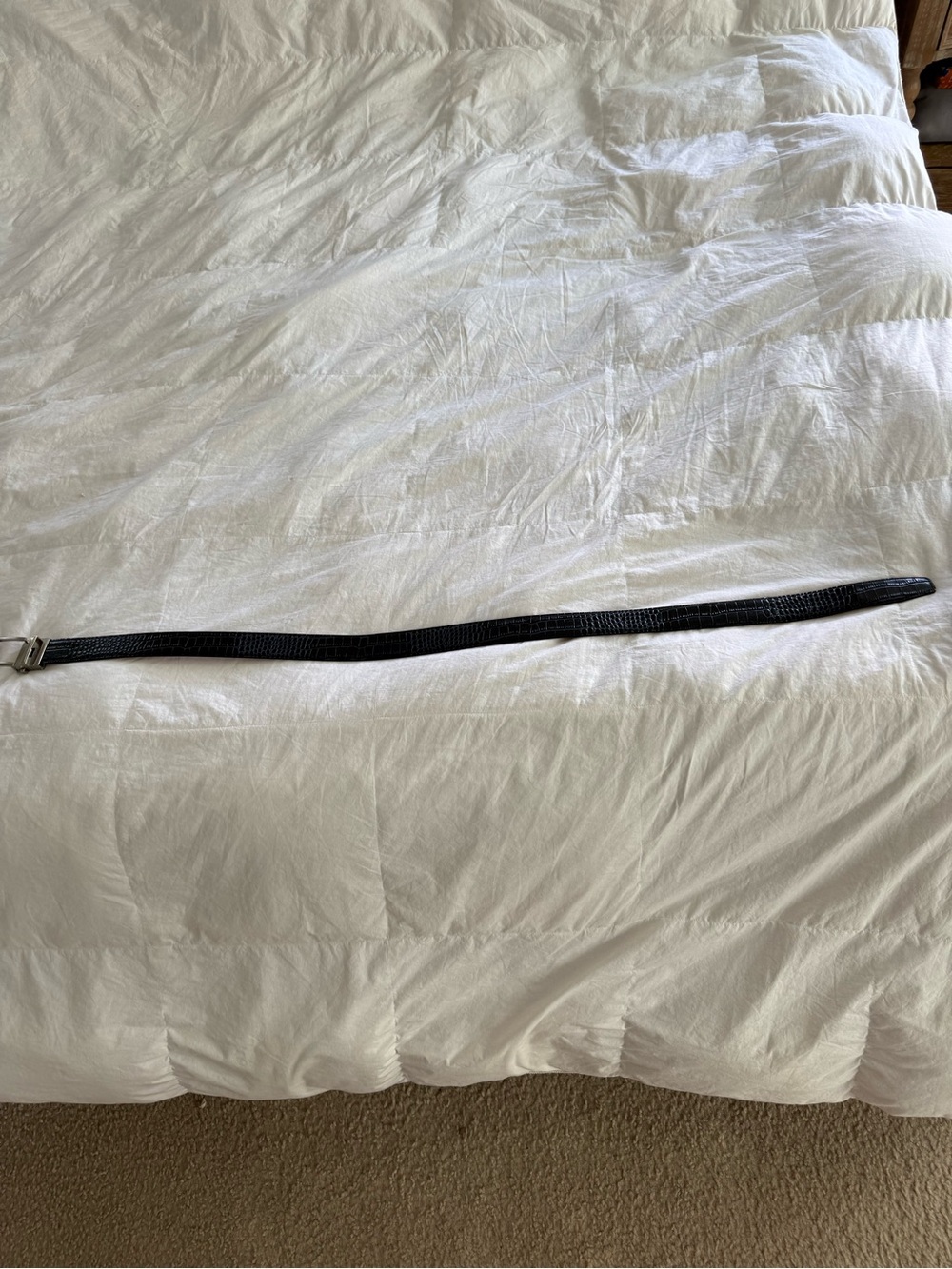 NexBelt Alligator Skin Golf Belt 34